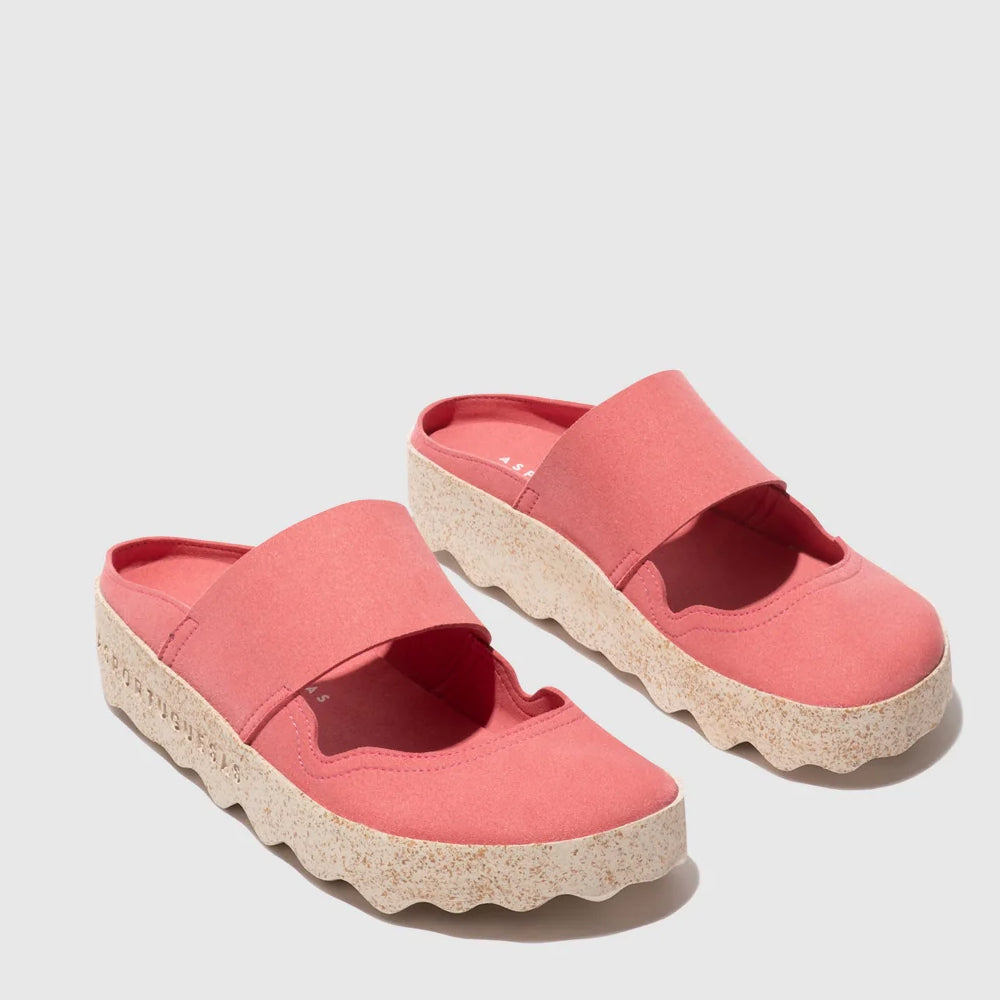 CANA L / ROSE