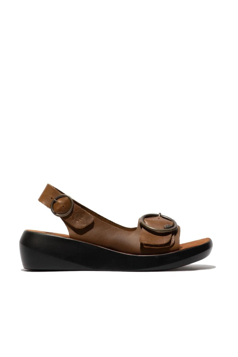 BERK / CAMEL