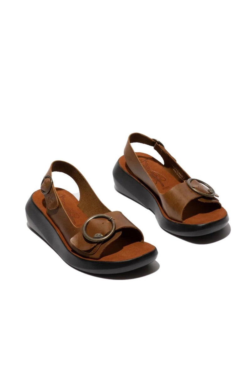 BERK / CAMEL