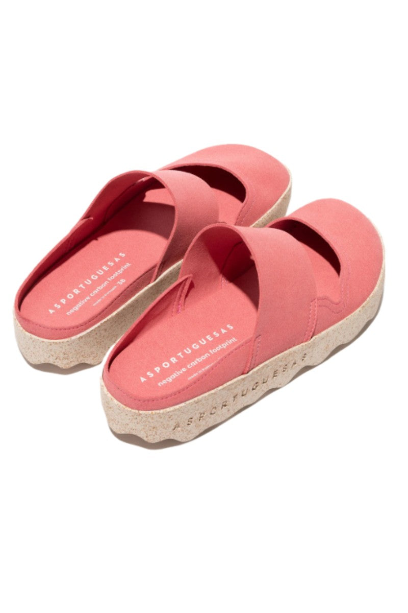 CANA L / ROSE
