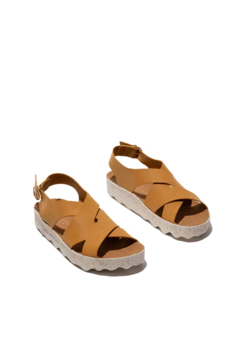 CUSK L / NUBUC CAMEL