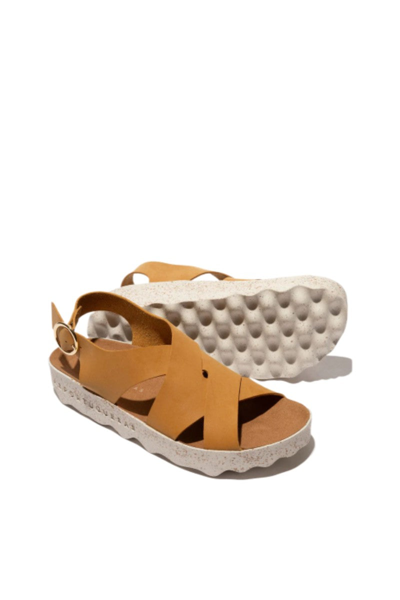 CUSK L / NUBUC CAMEL