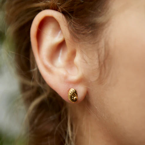 earrings haliotis micro