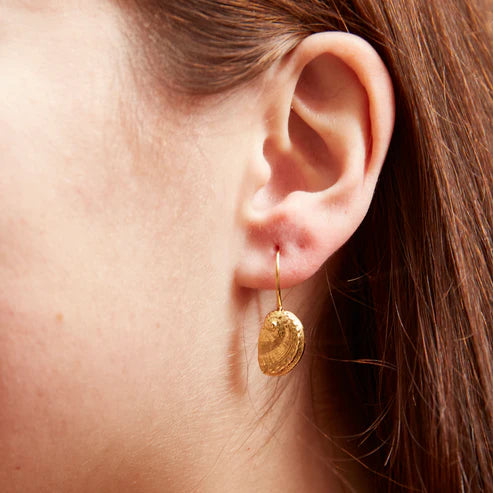 earrings macro haliotis
