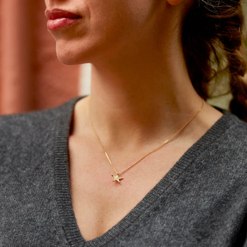 necklace asteroidea micro