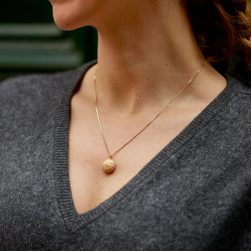 necklace sea urchin