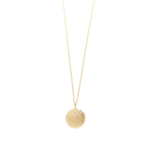 necklace sea urchin-45