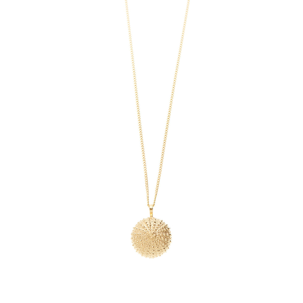 necklace sea urchin-45