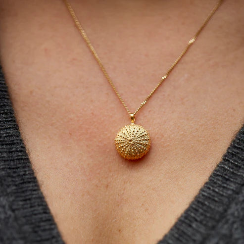 necklace sea urchin