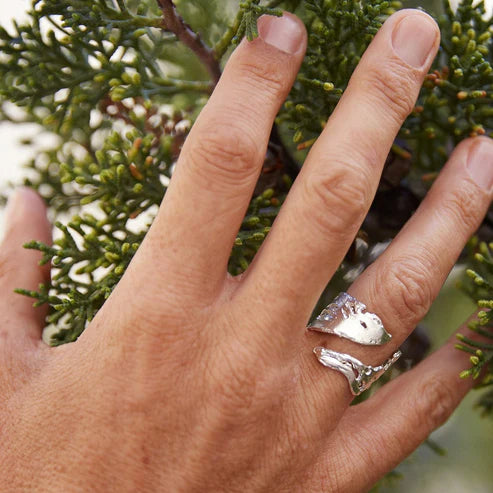 ring nature (im)perfections