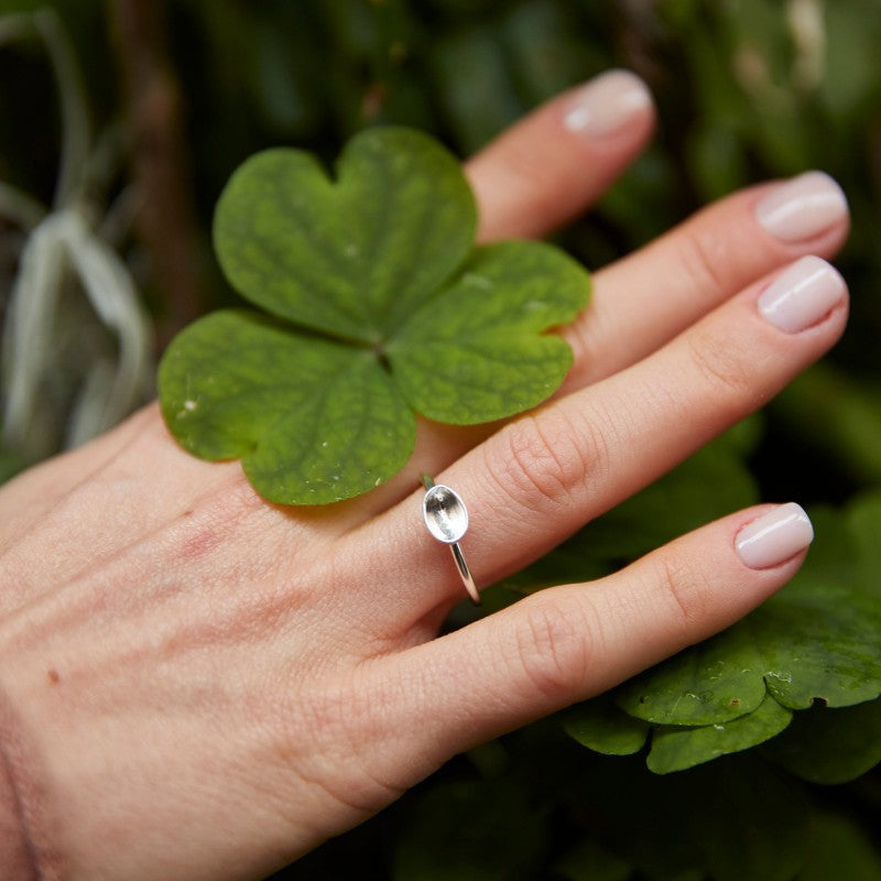 ring spoon shell