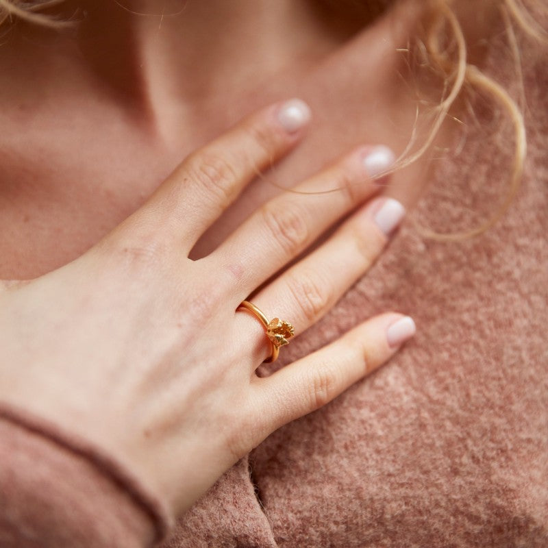 ring terra