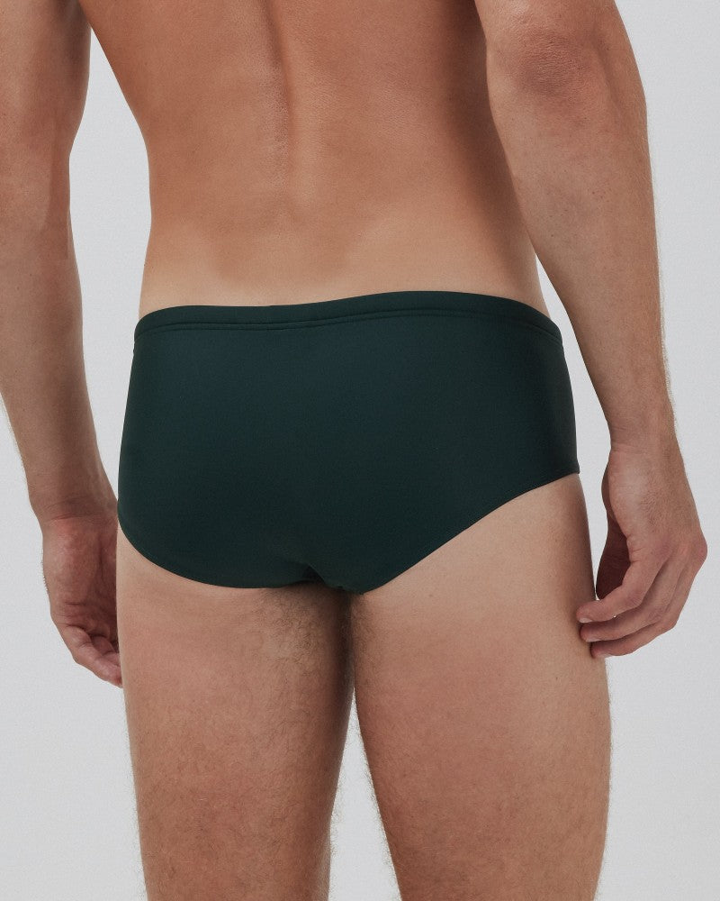 FOREST BRIEFS