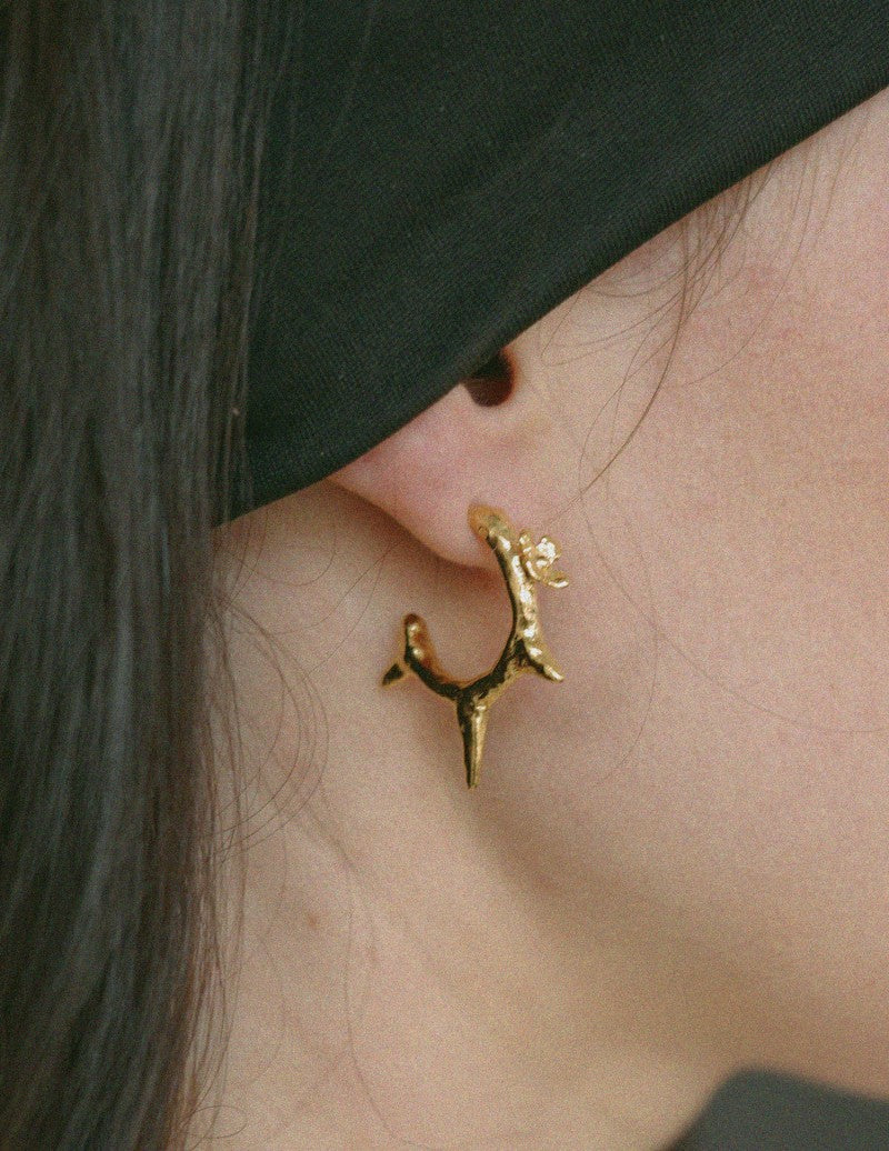 POLLY HOOPS