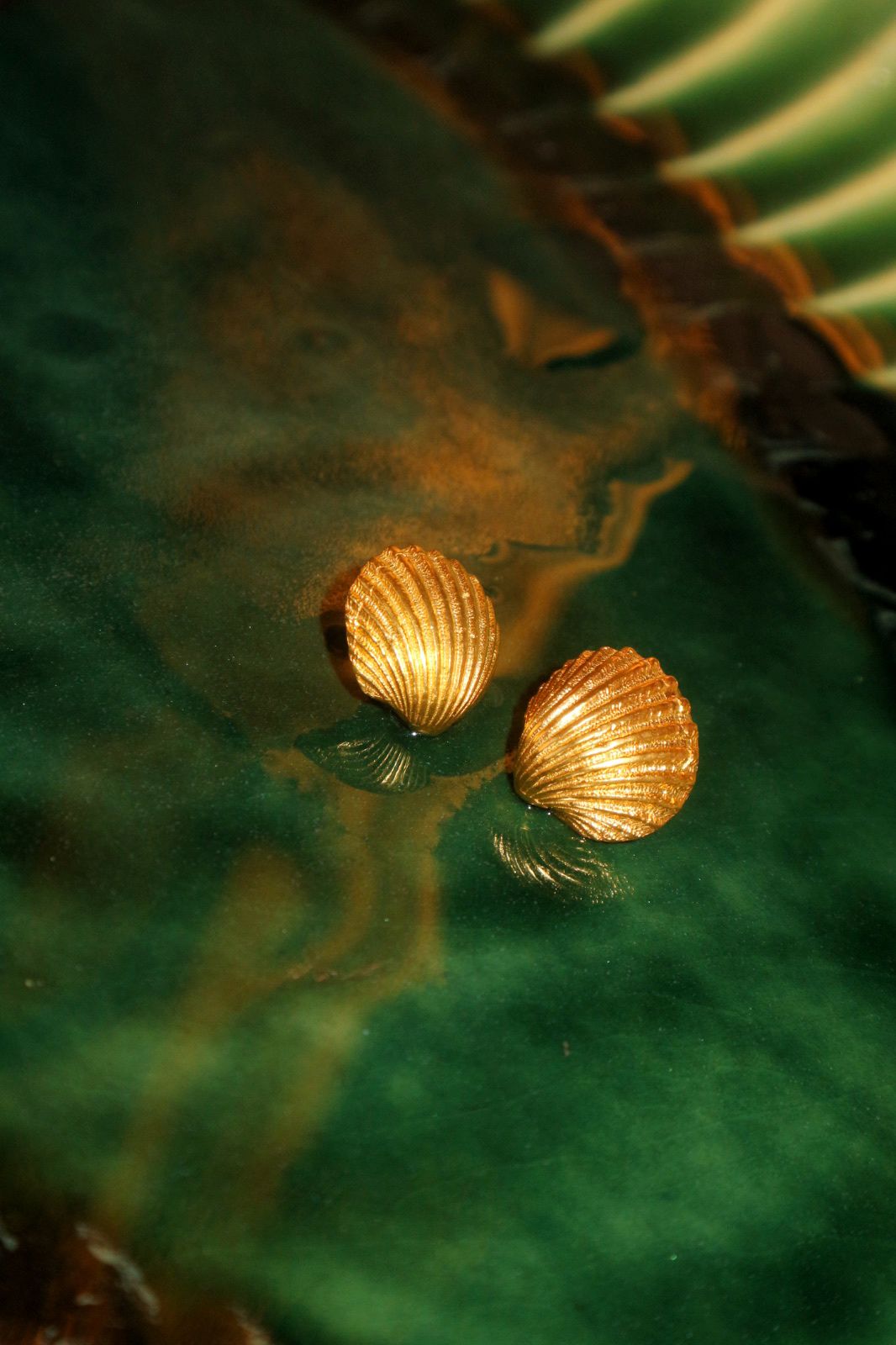 BRINCOS SUMMER'25 SHELL SIMPLES