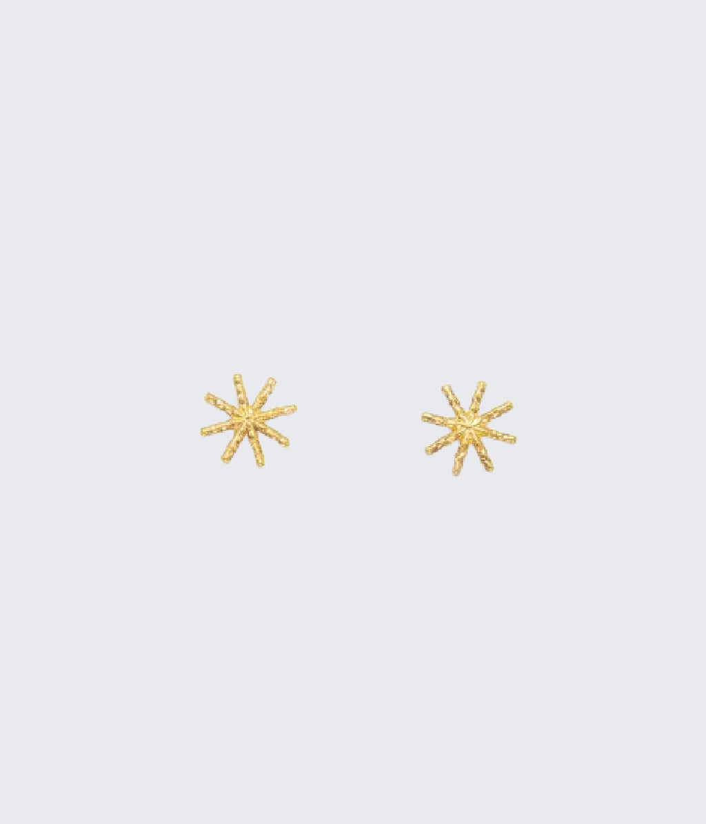 Mini Star Earrings