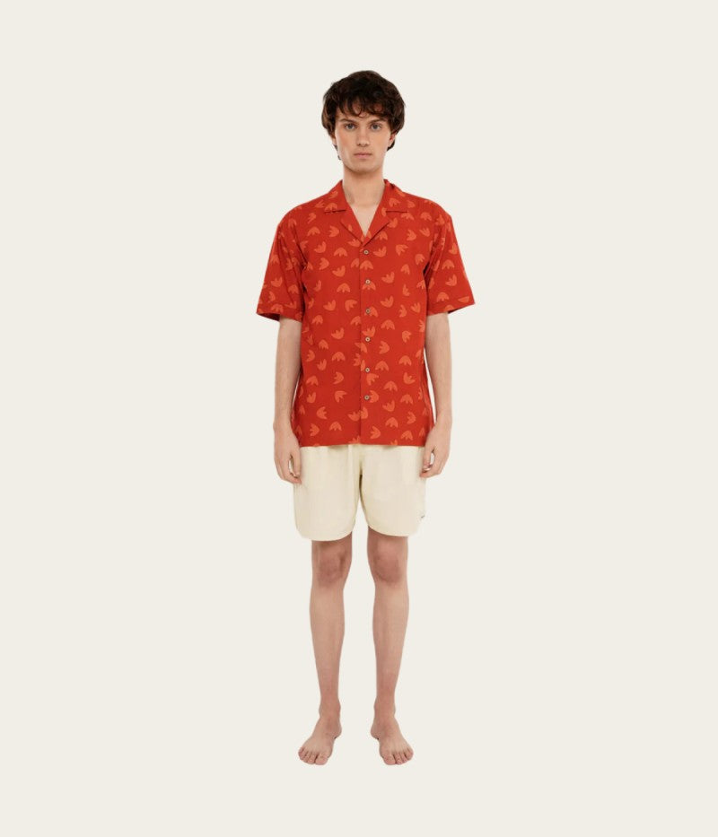 Bossa Nova