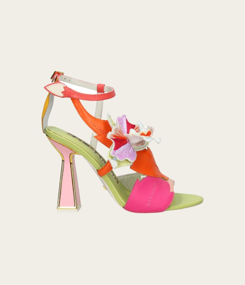 ORELA / MULTIBRIGHTS